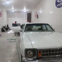 واکس و پولیش و دیتلینگ