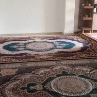 اپارتمان60متر/1خواب/بازسازی/خوش نقشه/قائمیه ارشاد|اجارهٔ آپارتمان|اسلام‌شهر, شهرک قائمیه|دیوار