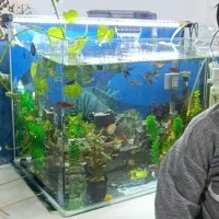 اکواریوم با تمامی وسایل و ماهی