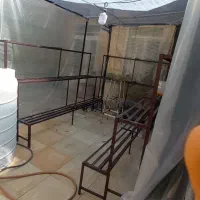 قفسه گل خانه|فروشگاه و مغازه|مرودشت, بیست متری بیمارستان|دیوار