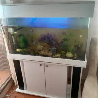 آکواریوم پایه دار