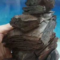 آکواریوم باپایه وهمه وسایلش|ماهی|بروجرد, |دیوار