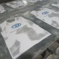 شابلون زن حرفه ای با‌ سابقه