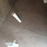 انجام تمام کارهای بنایی|خدمات پیشه و مهارت|رشت, چله خانه|دیوار