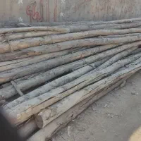 فروش چند جریب چوب گلخانه (توافقی)|عمدهفروشی|اصفهان, شفق|دیوار