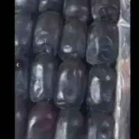 فروش خرما