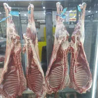 مرغکار و نظافتچی