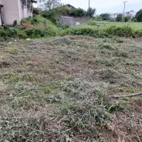 زمین مسکونی سند تک برگ در رودسر|فروش زمین و ملک کلنگی|رودسر, |دیوار