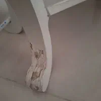 ساعت ایستاده|مبلمان خانگی و میز عسلی|رباط‌کریم, حکیم آباد|دیوار