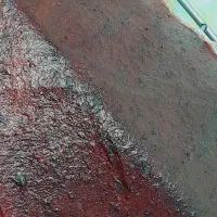 لواشک الو هلو