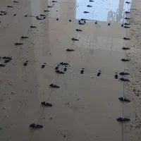 نما کار.سنگ کار.سرامیک کار.سنگکاری و سرامیککاری|خدمات پیشه و مهارت|تهران, نارمک|دیوار