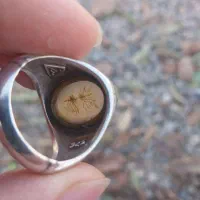 انگشتر نقره مردانه|جواهرات|بناب, |دیوار