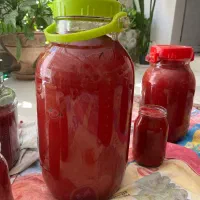 رب خانگی