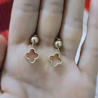 گوشواره قیمت تابلو|جواهرات|بهبهان, |دیوار