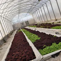 باغ ویلاگلخانه هیدروپونیک معاوضه با منزل آپارتمان