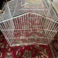 قفس پرنده