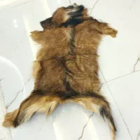 پوست طبیعی