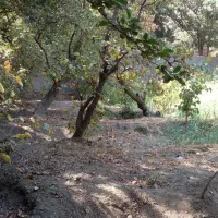 732-متر-باغ-منطقه-5-نزدیک-همت-دنج-و-با-صفا