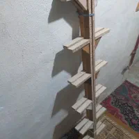 قفس چوب بند پرنده تور کفتر|لوازم جانبی حیوانات|مشهد, کوی دروی|دیوار