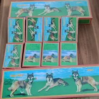 ترقه دو گرگی اصل ترقه گرگی سیگاری بی خطر