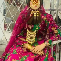 مزون پریزاد200تا1/200