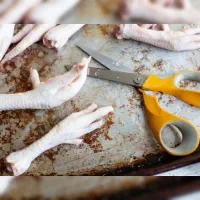 استخدام کارگر آقا، راننده با مینی بوس