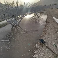 فروش ویژه و فوری ۴۰۰۰متر زمین بر کمربندی استهبان|فروش دفتر صنعتی، کشاورزی، تجاری|استهبان, |دیوار