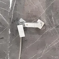 شیر سرویس بهداشتی