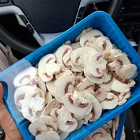 پخش قارچ سالم و اسلایس درجه یک مستقیم از شرکت|خوردنی و آشامیدنی|رباط‌کریم, حصار مهتر|دیوار