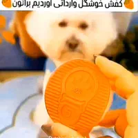 کفش وارداتی پاپوش مزونی  جوراب اورجینال پت