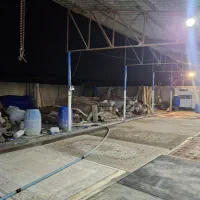 دو نفر نیروی قالیشویی
