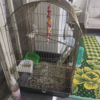 دو عدد قفس پرنده معاوضه با سهره