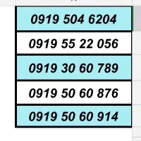 0919.3.997.998|سیمکارت|کرج, استاندارد|دیوار