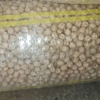 نخود گکسو درجه یک بذری|عمدهفروشی|گهواره, |دیوار