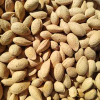 بادام سنگی|خوردنی و آشامیدنی|صوفیان, |دیوار