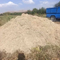 کاه لوبیا سفید