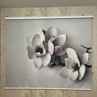پرده زبرا