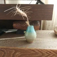 فولادشهرمجتمع-دانا15سی-دو