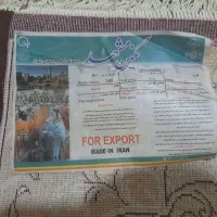 فرش ۵۰۰شانه نگین مشهد|فرش|سنقر, |دیوار