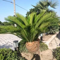 علف تراشی سمپاشی