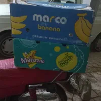 کارتن موز