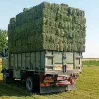 یونجه پرس همدان