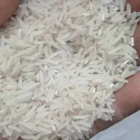 برنج فجر سوزنی (گرگان)