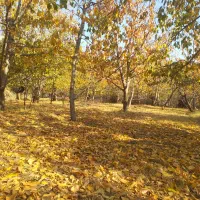 فروش زمین در لواسان کوچک روستایی کند