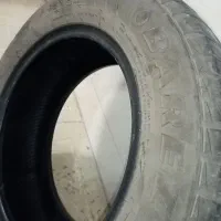 لاستیک ساینا جفتی ۲۷۰