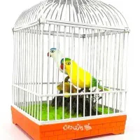 اسباب بازی قفس پرنده|اسباب‌بازی بچه|بم, |دیوار