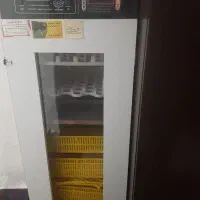 دستگاه جوجه کشی