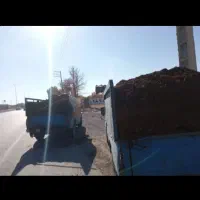 فروشی|گل و گیاه طبیعی|نوشین شهر, |دیوار