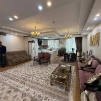 ۱۱۱ مــتر / خــطی پرده خور / سازمان شــمالی|فروش آپارتمان|تهران, سازمان برنامه شمالی|دیوار