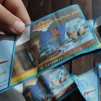 تعدادی بلیط استخر